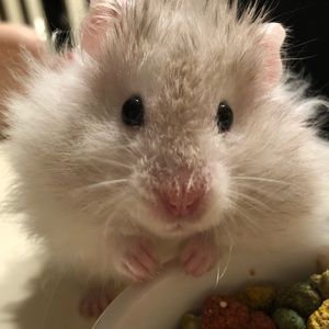 Meet your Posher, Olivia